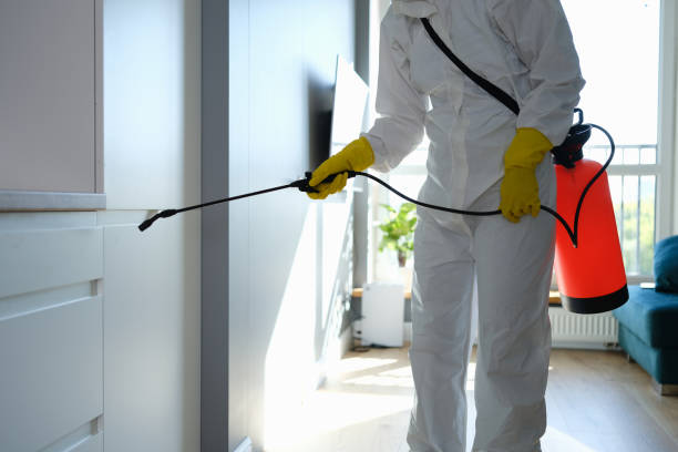 Best Toxic Mold Removal  in Westlake, OH
