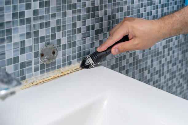 Best Emergency Mold Removal  in Westlake, OH
